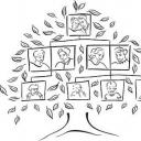 How to build your family tree
