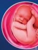 Γιατί εμφανίζεται το ολιγοϋδράμνιο κατά τη διάρκεια της εγκυμοσύνης και πρέπει να αντιμετωπιστεί;